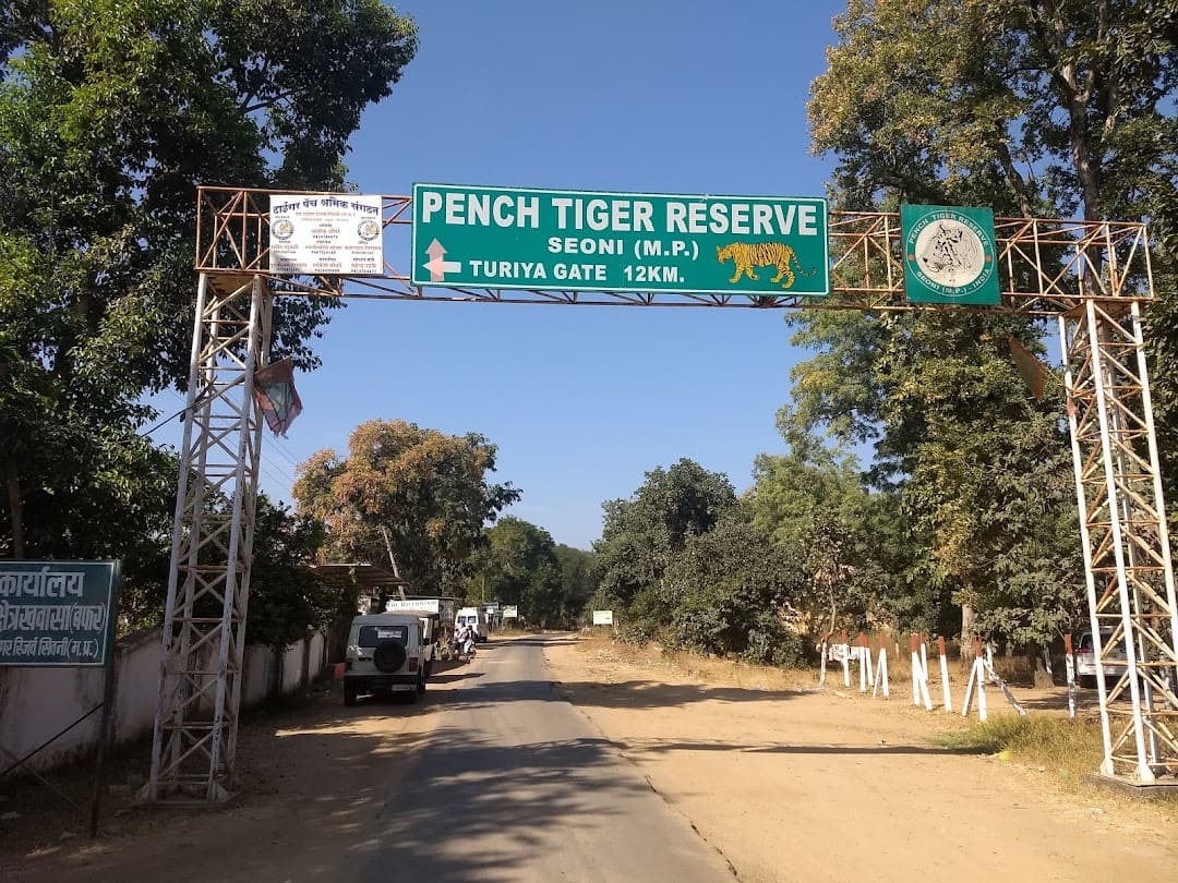 mp forest department safari booking